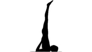 Eenvoudig aan te leren voor zowel beginners als gevorderden 